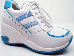 巨日鞋業產品指南 普通會員專享