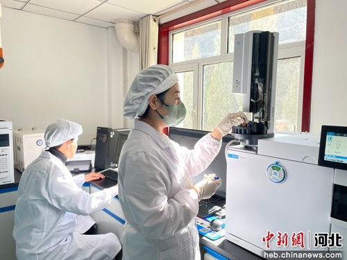 以科技創新為引擎，厚植新質生產力發展根基 河北寬城的技術開發之路